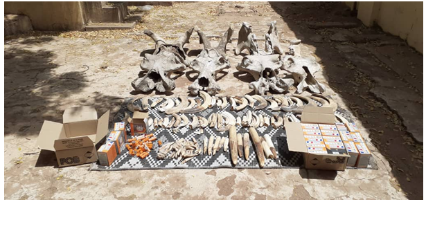 Criminalité faunique : Un réseau de trafic tombe à Tamba