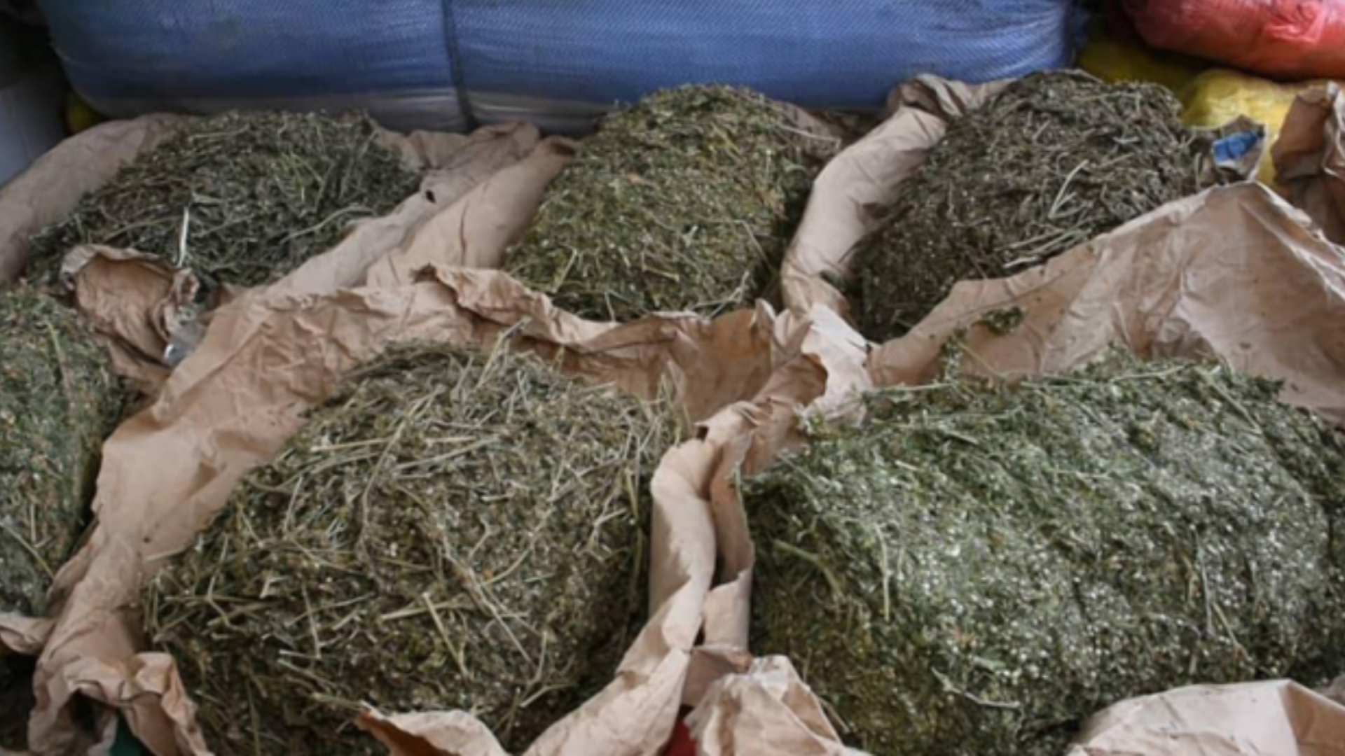 COVID-19 : La douane poursuit ses opérations spéciales et saisit 167 kg de chanvre indien à Fatick