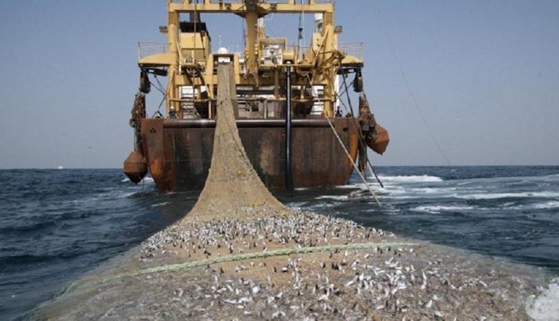 La Coalition nationale contre l’octroi de nouvelles Licences de Pêche industrielle réaffirme son Engagement pour la défense du patrimoine commun…