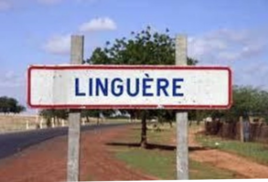 Le cas communautaire intrigant du département de Linguére