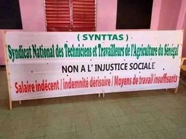 Covid-19 : Le Syndicat National des Travailleurs et Techniciens de l’Agriculture du Sénégal (SYNTTAS) crie leur désarroi
