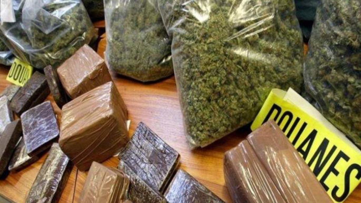 LUTTE CONTRE LA CRIMINALITÉ TRANSFRONTALIÈRE ORGANISÉE : Saisie record de 1076 kg de chanvre indien effectuée par la Douane de Koumpentoum