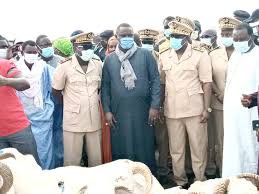 Tabaski: Plus de 150 000 moutons à Dakar (Ministre)