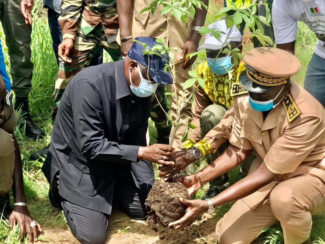 Déclassement de 10ha de la forêt classée de Mbao : les précisions du ministre Abdou Karim Sall