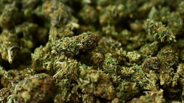 Société : L’OCRTIS met fin à l&rsquo;activité illicite d’un Sierra-Léonais
