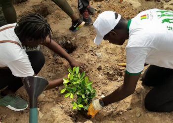 Campagne  » Japp ci sa gox set » aujourd’hui à  Fann Hock