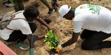 Campagne » Japp ci sa gox set » aujourd’hui à Fann Hock