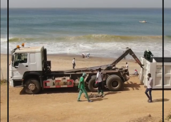 Journée de nettoyage au Cap Manuel