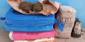 SÉDHIOU : 64 kg de chanvre indien saisis par la brigade de gendarmerie