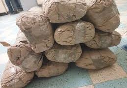 Trafics illicites : La douane a encore saisi une importante quantité de drogue et de faux médicaments.