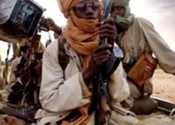 Mali: négociations entre jihadistes et chasseurs Dozos
