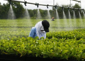 Macky Sall plaide pour l&rsquo;agro industriel