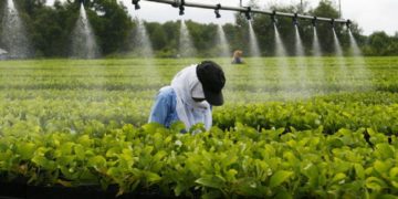 Macky Sall plaide pour l&rsquo;agro industriel