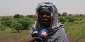Wendu boseabé : oasis agricole au Fouta