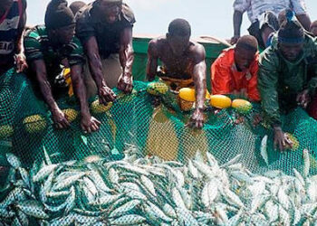 600 millions de F CFA pour la lutte contre la pêche