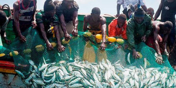 600 millions de F CFA pour la lutte contre la pêche