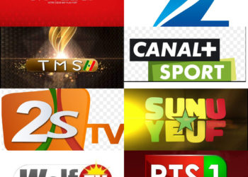 Sen-Tv et Zik fm sur se placent au sommet du podium