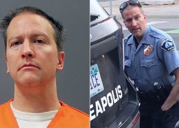 Meurtre Georges Floyd : Dereck Chauvin condamné à 22 ans de prison