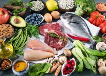 Révélations du SE-CNSA Prospectives Alimentaires à L&rsquo;Horizon 2035