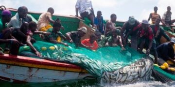 Kayar : 173 pêcheurs touchés par une maladie mystérieuse