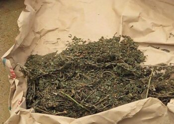 Saisie de drogue dure à Ouakam