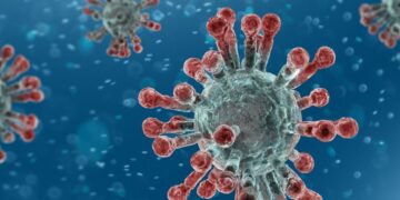 Covid-19 : un retour à la hausse