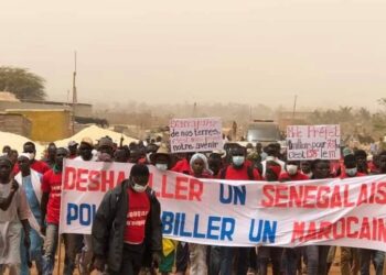Manifestation à Dougar : Y’en à marre et Frapp France Dégage en renfort