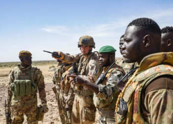 Mali : la France relance la coopération militaire avec Bamako