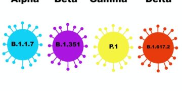 Covid-19: alerte sur la mutation du virus entre Alpha et Delta