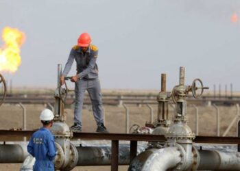 Avec une note de 82/100, le Sénégal est 1er en gestion des ressources naturelles en Afrique