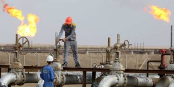 Avec une note de 82/100, le Sénégal est 1er en gestion des ressources naturelles en Afrique