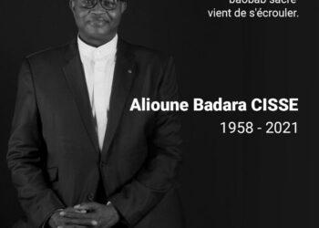 Un gigantesque  baobab vient de s&rsquo;écrouler