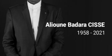 Un gigantesque  baobab vient de s&rsquo;écrouler