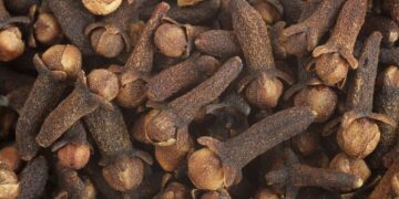 Le clou de girofle et ses vertus