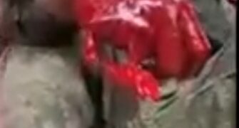 Comment le Palais de Alpha Condé (Sékoutoureya) a été attaqué…