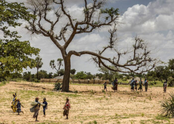La restauration des terres dégradées en Afrique