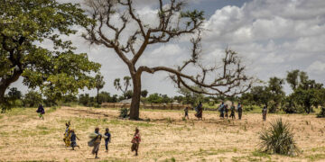 La restauration des terres dégradées en Afrique