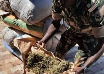 UN MARCHAND AMBULANT EN POSSESSION DE CHANVRE INDIEN VEND DES VENTILATEURS