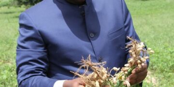 LANCEMENT, LE FINANCEMENT ET LE SUIVI- EVALUATION DE LA CAMPAGNE DE COMMERCIALISATION AGRICOLE.