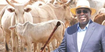 DOCTRINE D’AMENAGEMENT DES PARCOURS DE BETAIL ET DE LA DEFINITION DES ZONES DE PATURAGE  