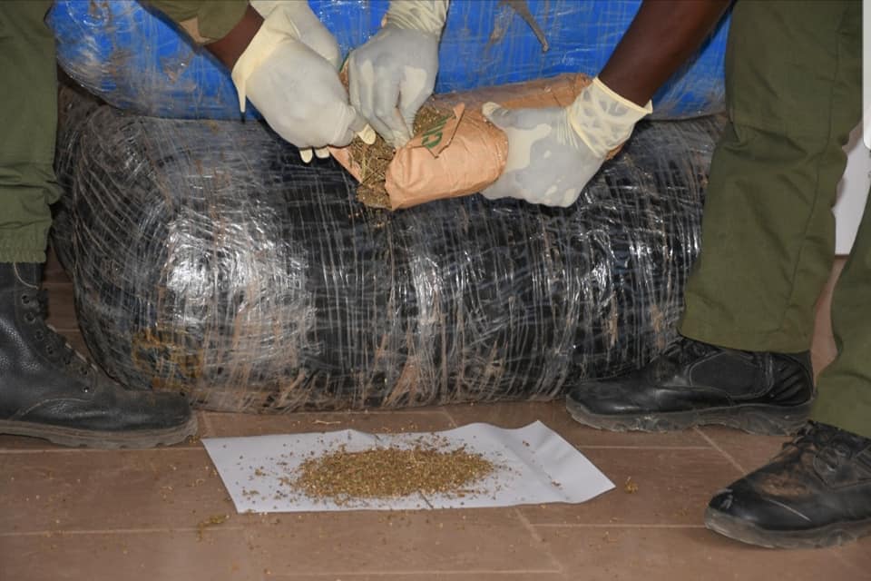 Mbour: 324 Kg de chanvre indien saisis, deux délinquants interpellés à Sessene.