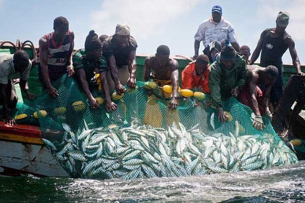 Sénégal/Guinée Bissau: Renouvellement du protocole d&rsquo;application des pêches.