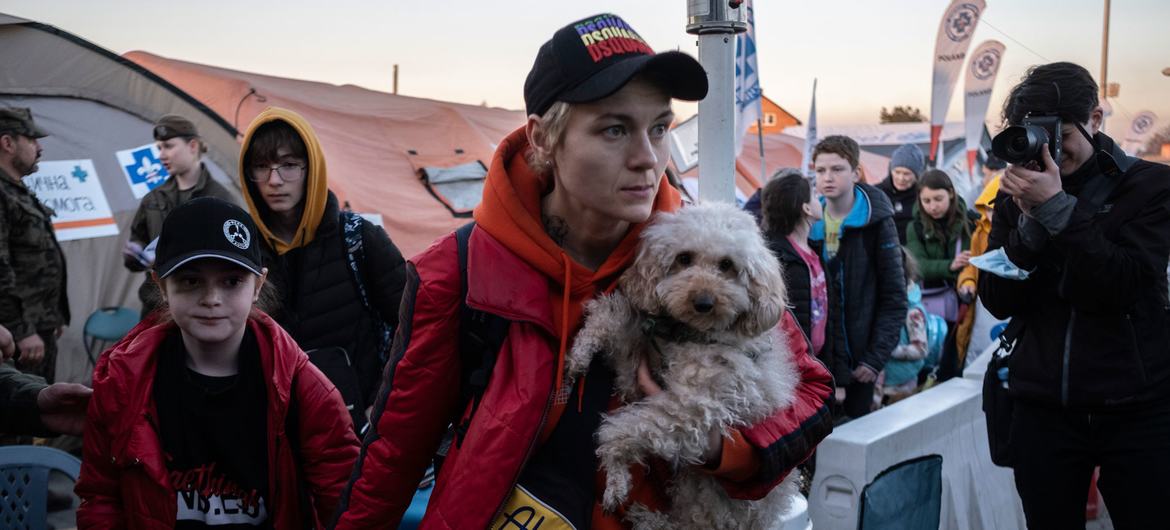 La barre des 5 millions de réfugiés franchie, selon l’ONU