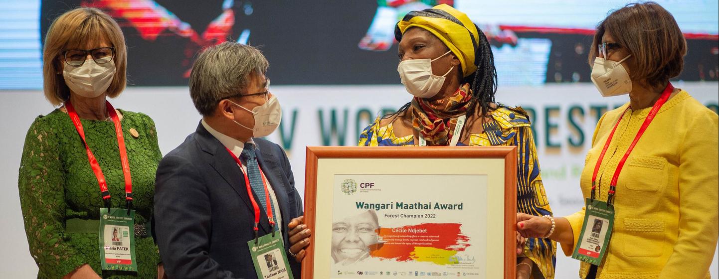 Une activiste camerounaise remporte le prix Wangari Maathai « Champions de la cause des forêts » 2022