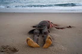 5 élèves en classe de 3eme sont mort noyés à Lac Rose