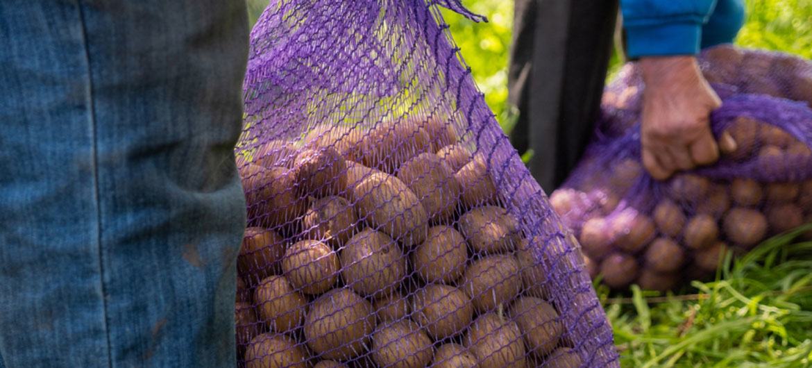 Le bortsch ukrainien inscrit au patrimoine culturel immatériel mondial par l’UNESCO