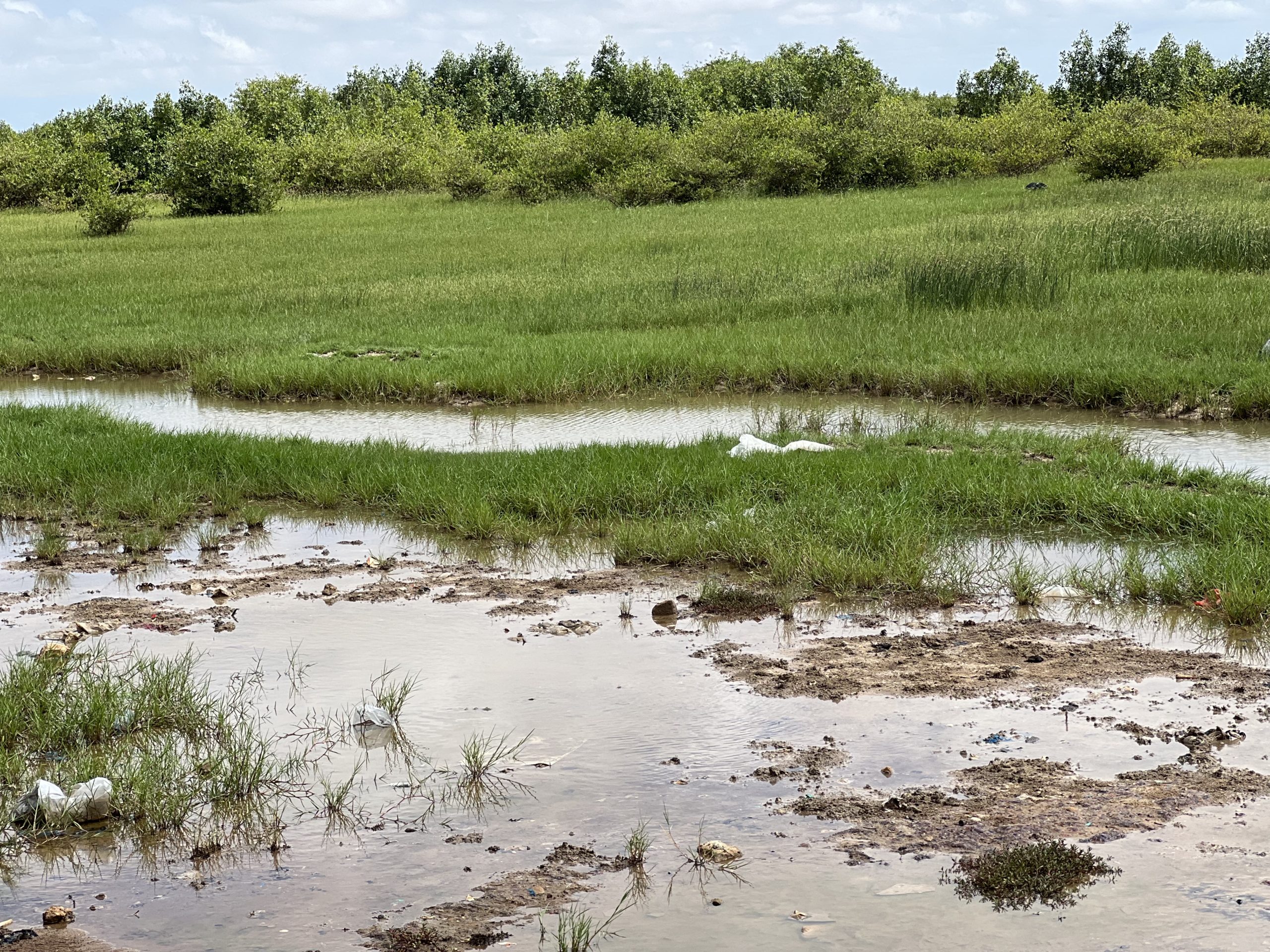 St Louis inondation ou habitation dans les zones  inondables ?