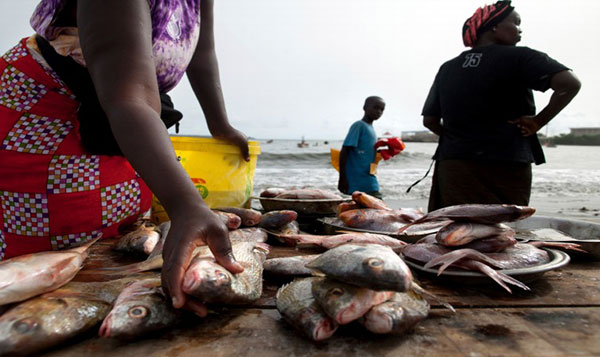 Les mareyeurs du  marché central  au poisson de Kaolack annoncent une grève de 72h