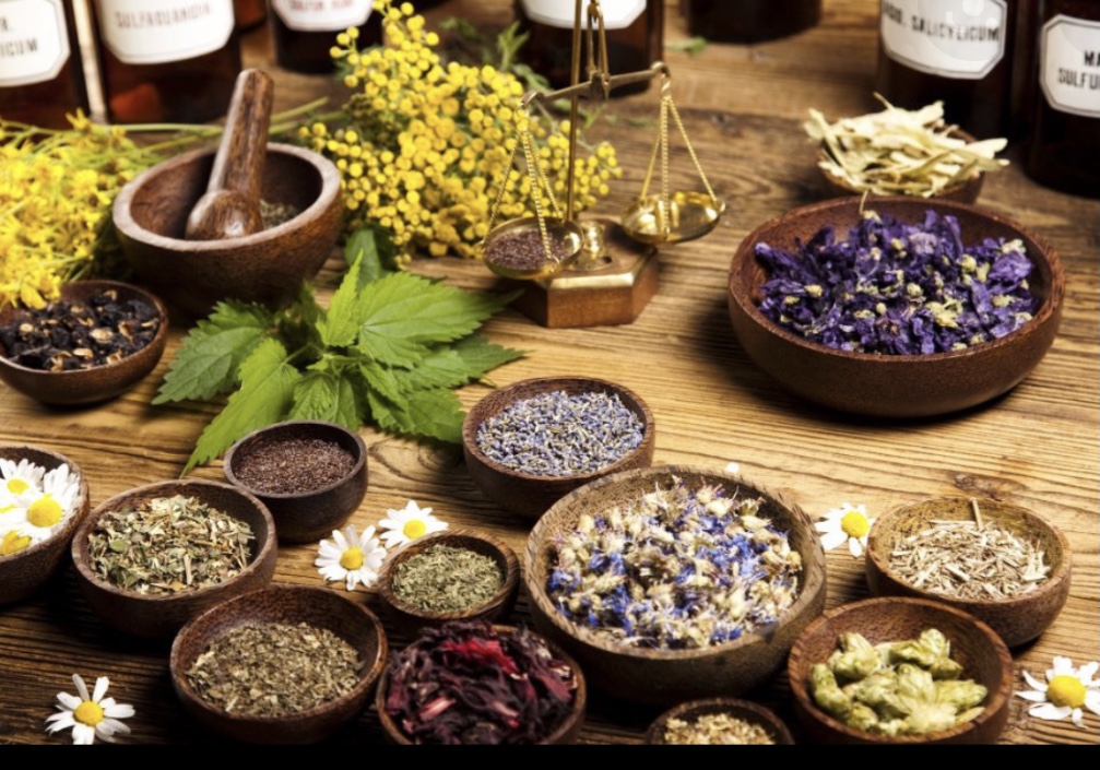 20ème journée africaine de la médecine traditionnelle, vers l’adoption d’une loi sur l’exercice de cette pratique