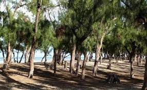 Le FPRS/And Liguéy s’insurge  contre le bradage du littoral.